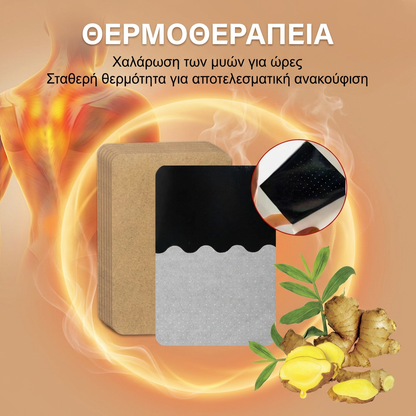 🌿 Πλάστρες Imbirowe Αντιπυρετικές ❄️🔥– Περιέχουν ισχυρή φυσική πάστα από εκχύλισμα τζίντζερ