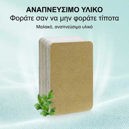 🌿 Πλάστρες Imbirowe Αντιπυρετικές ❄️🔥– Περιέχουν ισχυρή φυσική πάστα από εκχύλισμα τζίντζερ