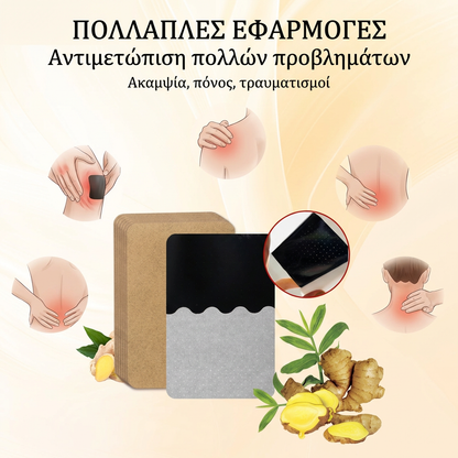 🌿 Πλάστρες Imbirowe Αντιπυρετικές ❄️🔥– Περιέχουν ισχυρή φυσική πάστα από εκχύλισμα τζίντζερ