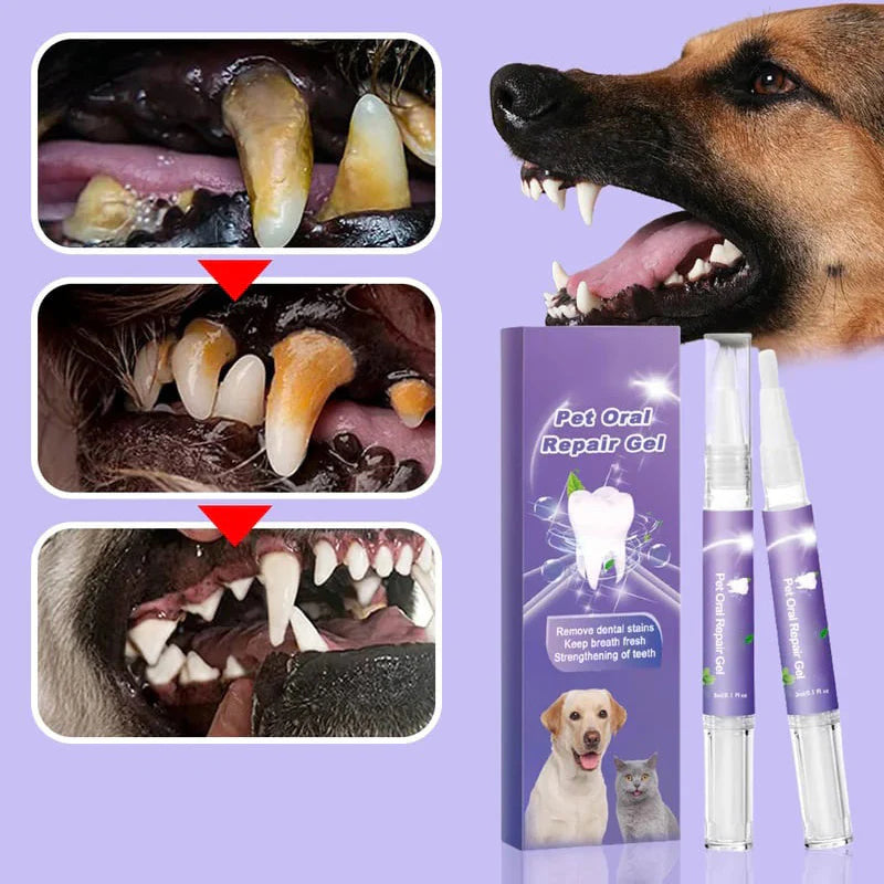 🔥 Αγοράστε 1 – Το δεύτερο με έκπτωση 50%!🦷🐾 Pet Oral Repair Gel – Φυσική οδοντική φροντίδα για σκύλους και γάτες