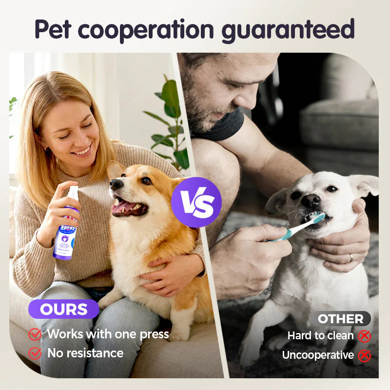 Σπρέι καθαρισμού δοντιών για κατοικίδια ζώα