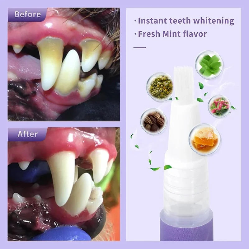 🔥 Αγοράστε 1 – Το δεύτερο με έκπτωση 50%!🦷🐾 Pet Oral Repair Gel – Φυσική οδοντική φροντίδα για σκύλους και γάτες