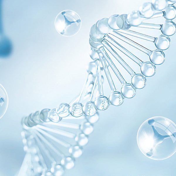 🚽✨ Σετ Λάμπας UV για Αποστείρωση Τουαλέτας 🦠🔆-✨ Απόλυτη υγιεινή στην τουαλέτα, έξυπνα και αποτελεσματικά!