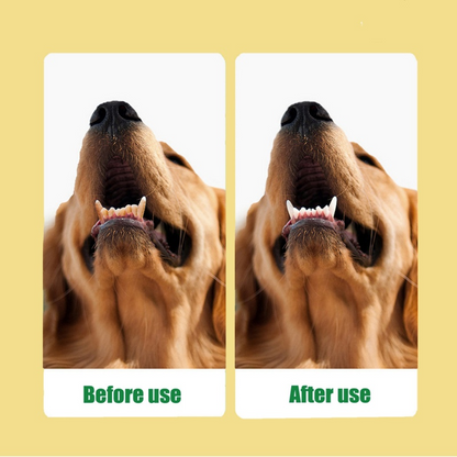 Αποτελεσματικό σπρέι για τον καθαρισμό των δοντιών γάτων και σκύλων 🐶😺✨🦷