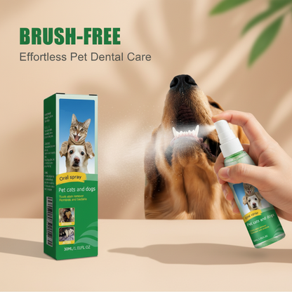 Αποτελεσματικό σπρέι για τον καθαρισμό των δοντιών γάτων και σκύλων 🐶😺✨🦷